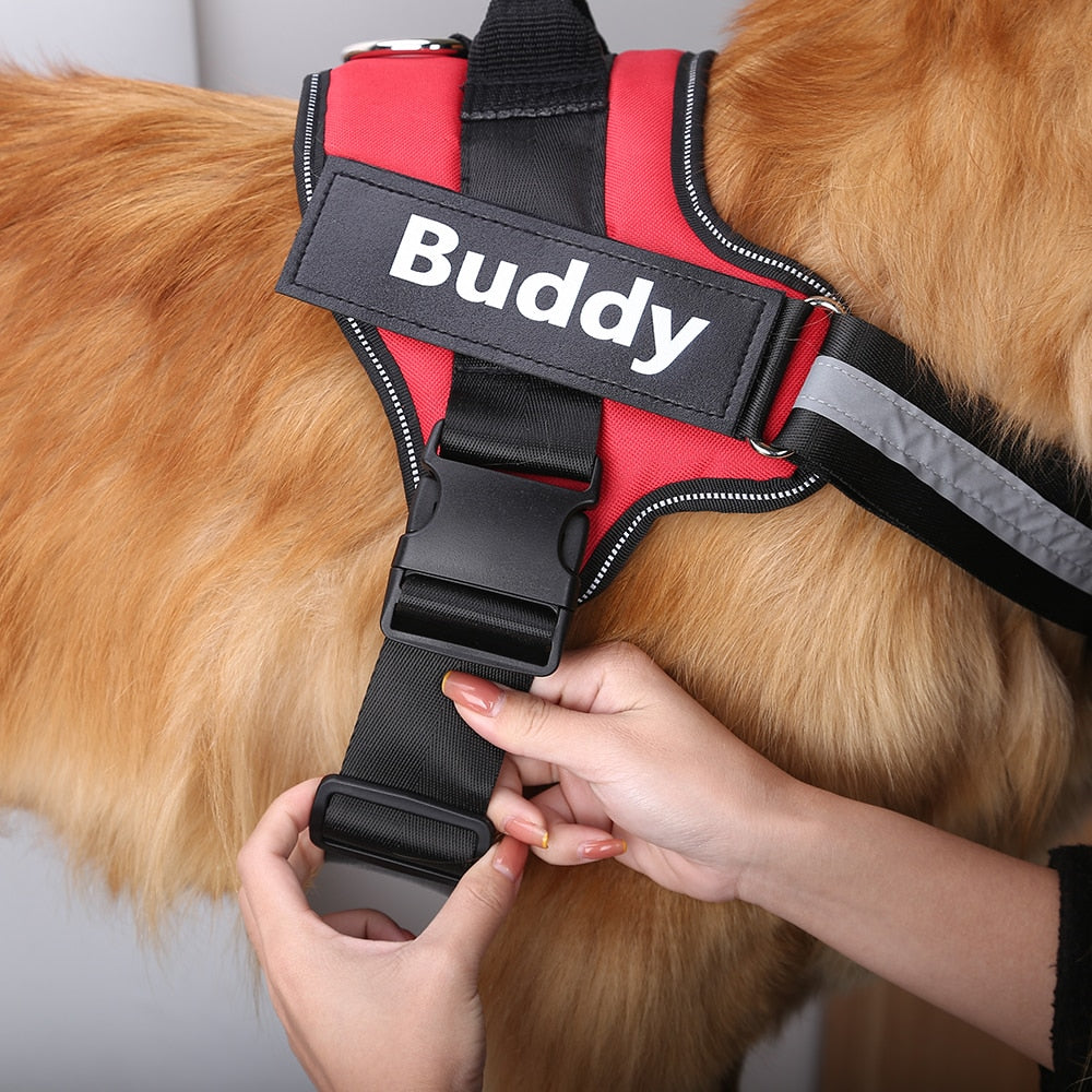 Personalized No Pull Reflective Dog Harness